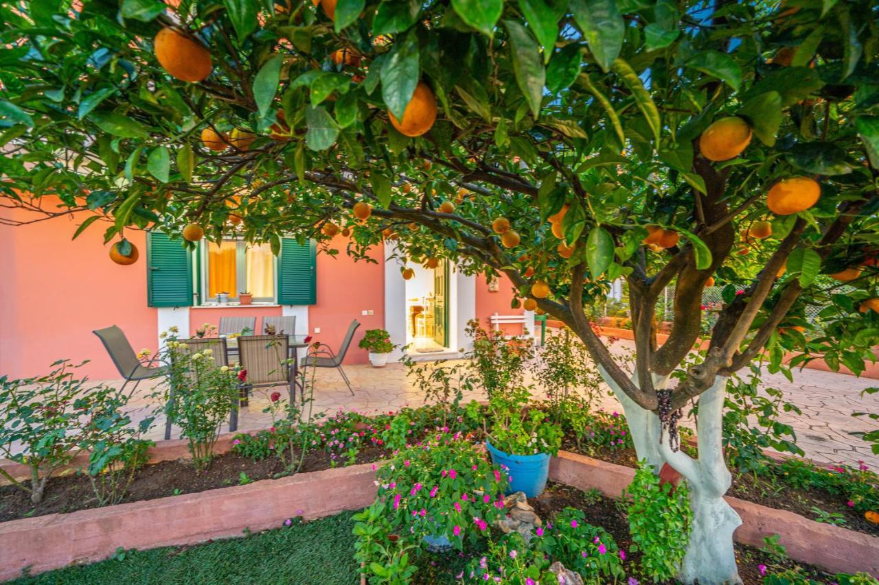 Artemis Superb 2 Bedroom Apartment 700 M Away From The Beach Minia エクステリア 写真