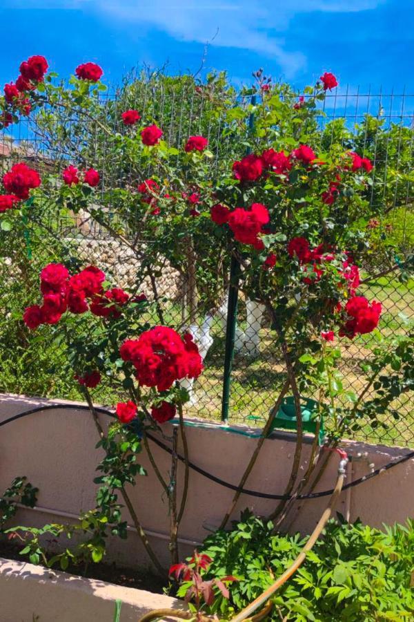 Artemis Superb 2 Bedroom Apartment 700 M Away From The Beach Minia エクステリア 写真