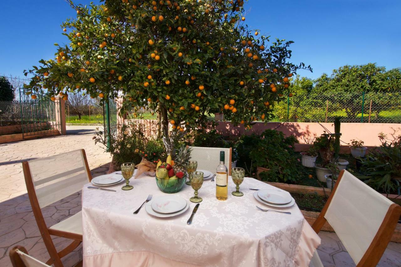 Artemis Superb 2 Bedroom Apartment 700 M Away From The Beach Minia エクステリア 写真