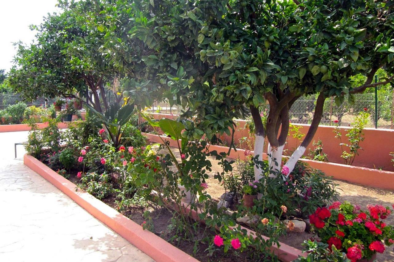 Artemis Superb 2 Bedroom Apartment 700 M Away From The Beach Minia エクステリア 写真