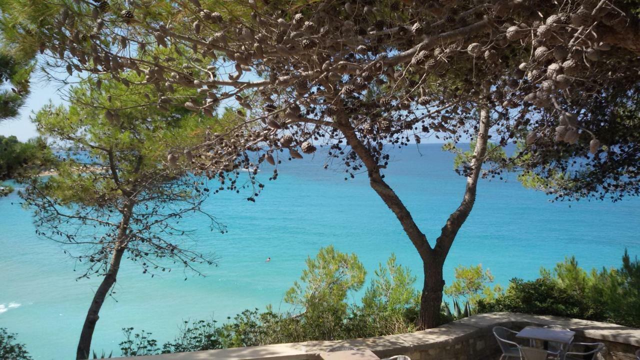Artemis Superb 2 Bedroom Apartment 700 M Away From The Beach Minia エクステリア 写真