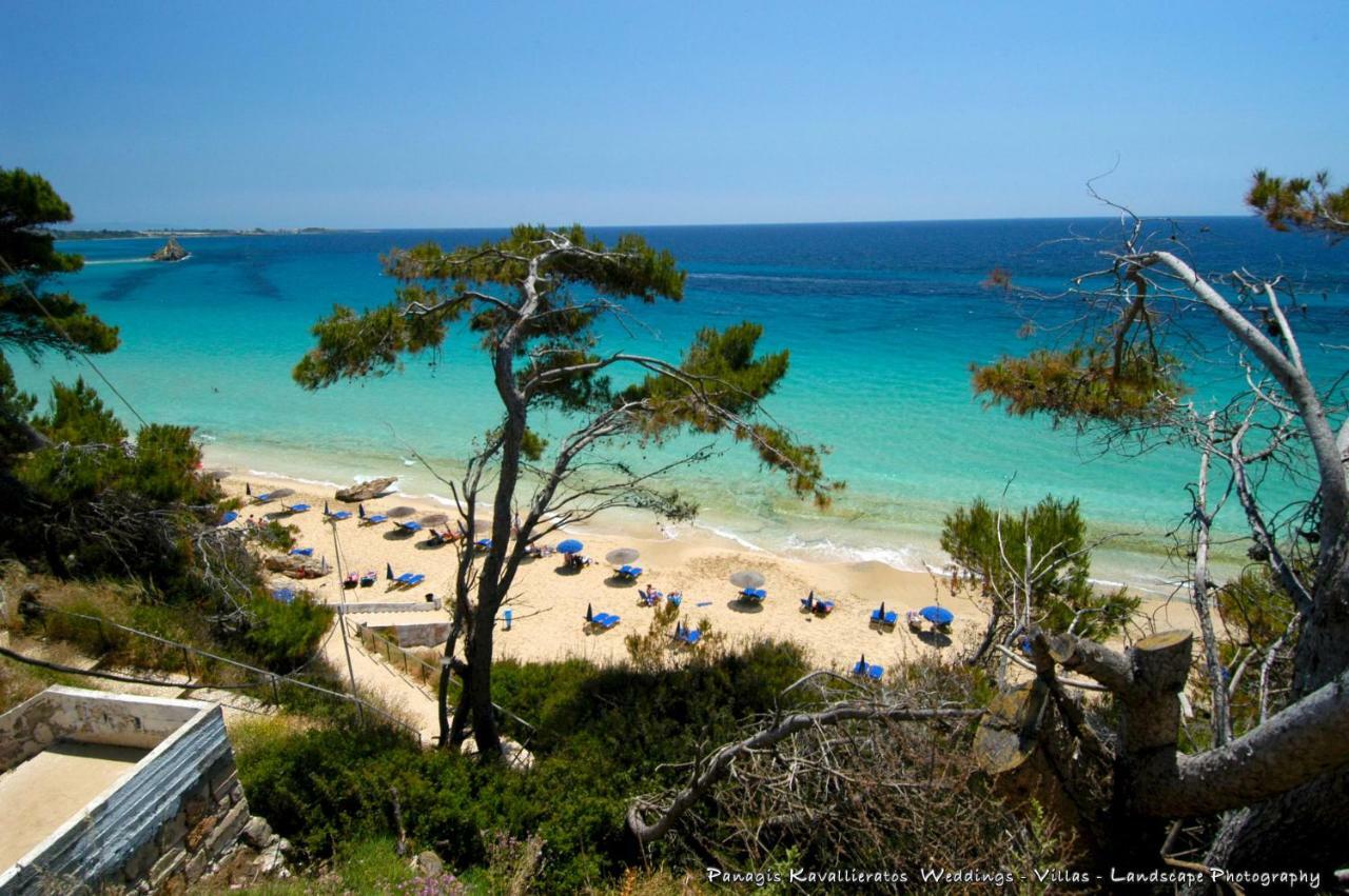 Artemis Superb 2 Bedroom Apartment 700 M Away From The Beach Minia エクステリア 写真